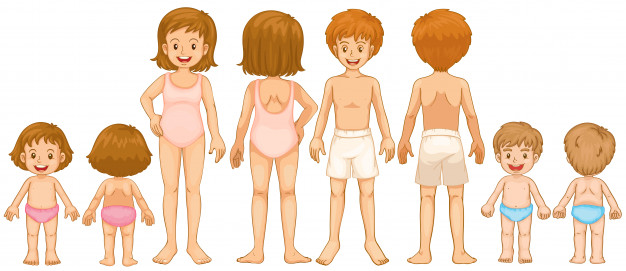 Ciências 2º Ano Fundamental - O corpo humano; o sistema ósseo e o sistema muscular.