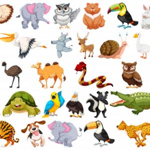 Ciências 2º Ano Fundamental – O mundo animal: características e o habitat dos seres vivos.