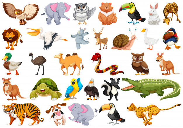 Ciências 2º Ano Fundamental - O mundo animal: características e o habitat dos seres vivos.