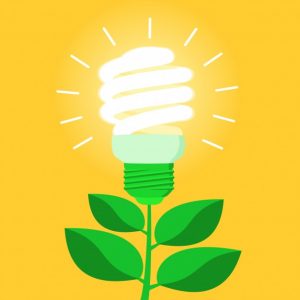 Ciências 3º Ano Fundamental – Recursos naturais e fontes de energia, energia hidrelétrica.