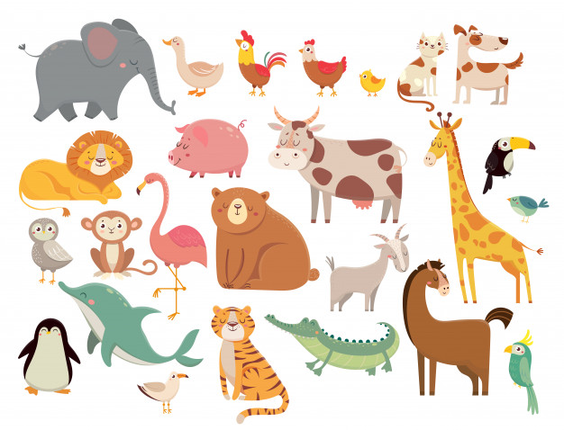Ciências 3º Ano Fundamental - Fauna e flora nativa e exótica, classificação dos animais: vertebrados e invertebrados e os cinco grupos dos animais vertebrados.