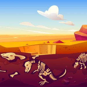 Ciências 3º Ano Fundamental – Vida e evolução: os animais do passado e do presente, animais e plantas ameaçados de extinção.