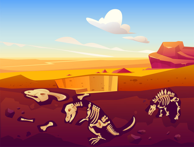 Ciências 3º Ano Fundamental - Vida e evolução: os animais do passado e do presente, animais e plantas ameaçados de extinção.