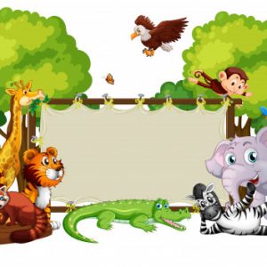 Ciências 3º Ano Fundamental – Os seres vivos e suas características, reprodução, conceito de biodiversidade, flora e fauna nativa e exótica.