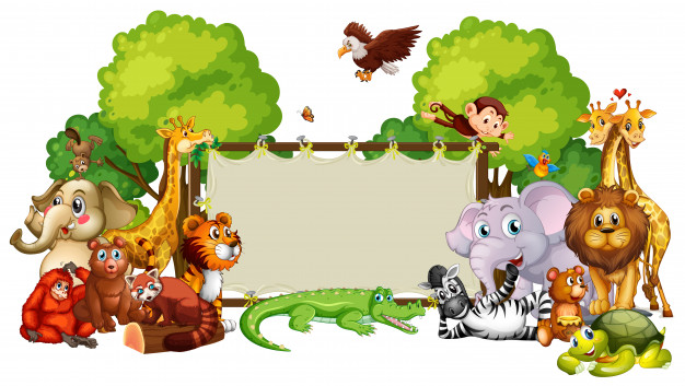 Ciências 3º Ano Fundamental - Os seres vivos e suas características, reprodução, conceito de biodiversidade, flora e fauna nativa e exótica.