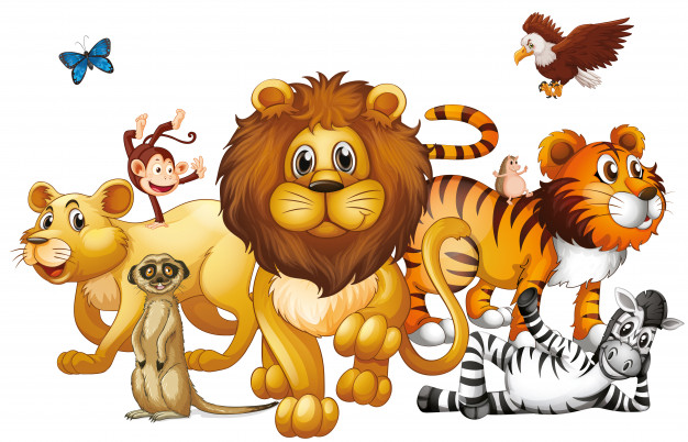 Ciências 3º Ano Fundamental - O habitat dos animais, os animais vertebrados e invertebrados, classificação dos animais vertebrados.