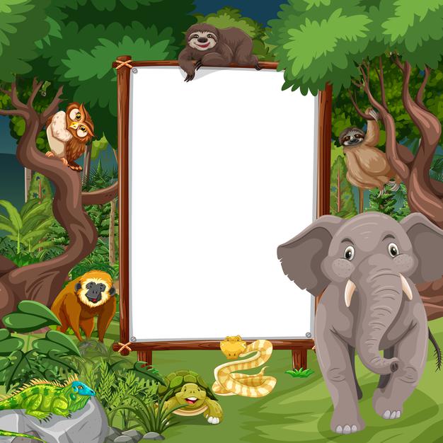 Ciências 3º Ano Fundamental - Classificação dos animais vertebrados, conceito de metamorfose.