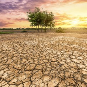 Ciências 4º Ano Fundamental – Erosão do solo e tipos de erosão.