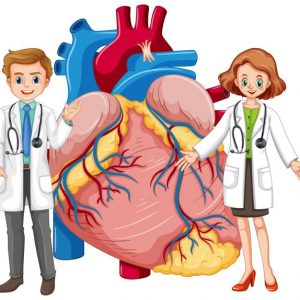Ciências 4º Ano Fundamental – O sistema circulatório humano: o que é, funções, órgãos e tecidos componentes.