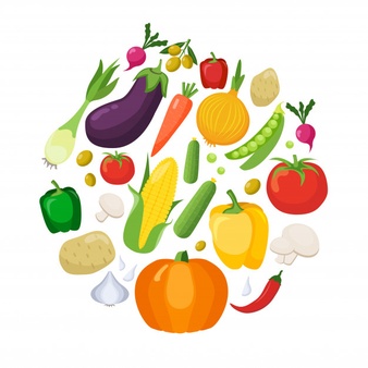 Ciências 4º Ano Fundamental - Os nutrientes dos alimentos: proteínas, carboidratos, lipídios, cálcio e vitaminas, a importância de uma alimentação balanceada.