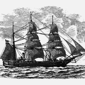 História 4º Ano Fundamental – Grandes Navegações, rotas marítimas portuguesas, rotas comerciais portuguesas para a Índia, chegada de Cabral a América, carta de Pero Vaz de Caminha, origem do nome Brasil, extração do Pau-Brasil, cristianismo e colonização, datas importantes, população Indígena no passado e presente e características da população Indígena.