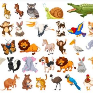 Ciências Educação Infantil II – Aprendendo sobre os animais.