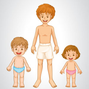 Ciências 1º Ano Fundamental – As partes do corpo humano: cabeça, tronco e membros, os órgãos dos sentidos e os cinco sentidos, principais órgãos do corpo humano.