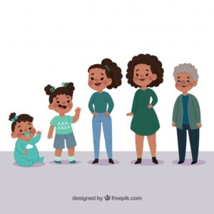 Ciências 1º Ano Fundamental – O ciclo de vida das plantas, dos humanos e dos outros animais.