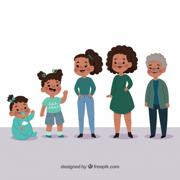 Ciências 1º Ano Fundamental - O ciclo de vida das plantas, dos humanos e dos outros animais.