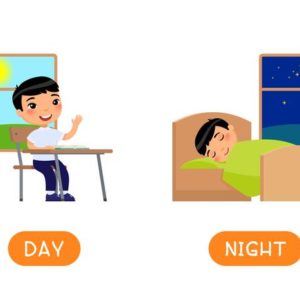 Ciências 1º Ano Fundamental – A sucessão dos dias e das noites e as tarefas cotidianas dos seres humanos, o dia e a noite na natureza: animais diurnos e animais noturnos.