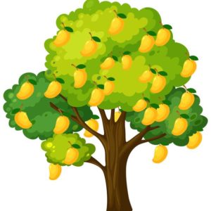 Ciências 1º Ano Fundamental – Conhecendo as partes das plantas e as suas funções.