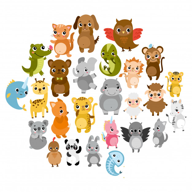 Ciências 1º Ano Fundamental - O mundo animal: os diferentes revestimentos dos corpos dos animais.