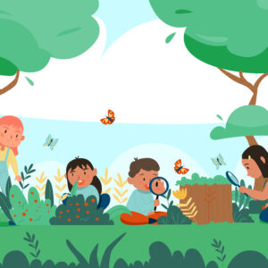 Ciências Educação Infantil III – A vegetação e a sua relação com os animais e a produção de alimentos.