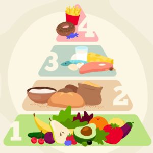 Ciências 8º Ano Fundamental – Os nutrientes e as suas funções, os carboidratos, as proteínas, pirâmide alimentar, a água, os sais minerais e as vitaminas.