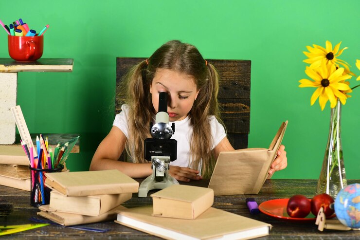Plano de Aula Ciências - A diversidade dos materiais no nosso dia a dia - 1º Ano do Ensino Fundamental.