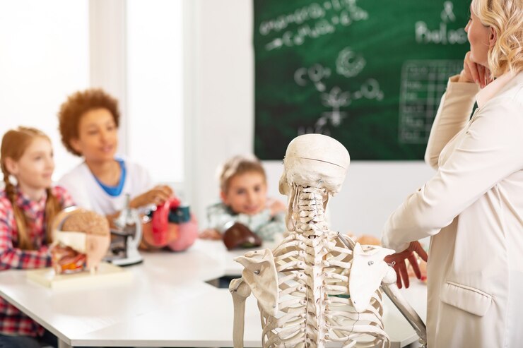 Plano de Aula Ciências - Como é o nosso corpo? 1º Ano do Ensino Fundamental.