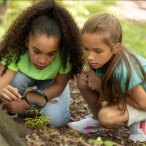 Ciências 4º Ano Fundamental – A transmissão de algumas doenças: o solo e a água