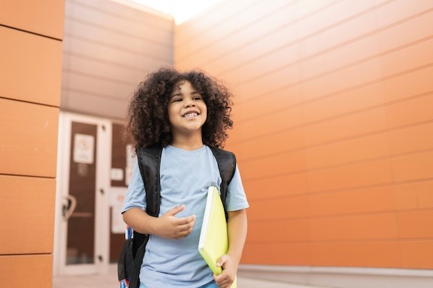 Plano de Aula de Língua Portuguesa - Segmentando palavras de ditados populares - 2º Ano do Ensino Fundamental.