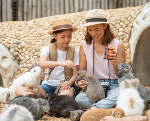 Apostila de Ciências – Os animais e as suas características externas: comparando os grupos de animais – Habilidade BNCC: EF03CI06.