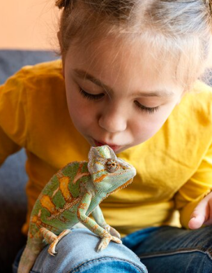 Apostila de Ciências – Os diferentes tipos de animais: os répteis e os anfíbios – Habilidade BNCC: EF03CI06.