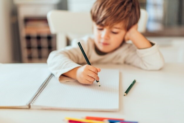 Plano de Aula de Matemática - Aprendendo sobre o dobro e o triplo por meio de um jogo - 2º Ano do Ensino Fundamental.