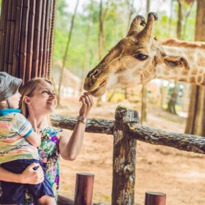 Plano de Aula Educação Infantil 3 – Debatendo sobre os animais que conhecemos.