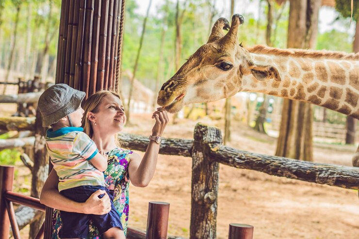 Plano de Aula Educação Infantil 3 - Debatendo sobre os animais que conhecemos.