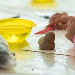 Plano de Aula Educação Infantil 2 – Criando personagens com argila.