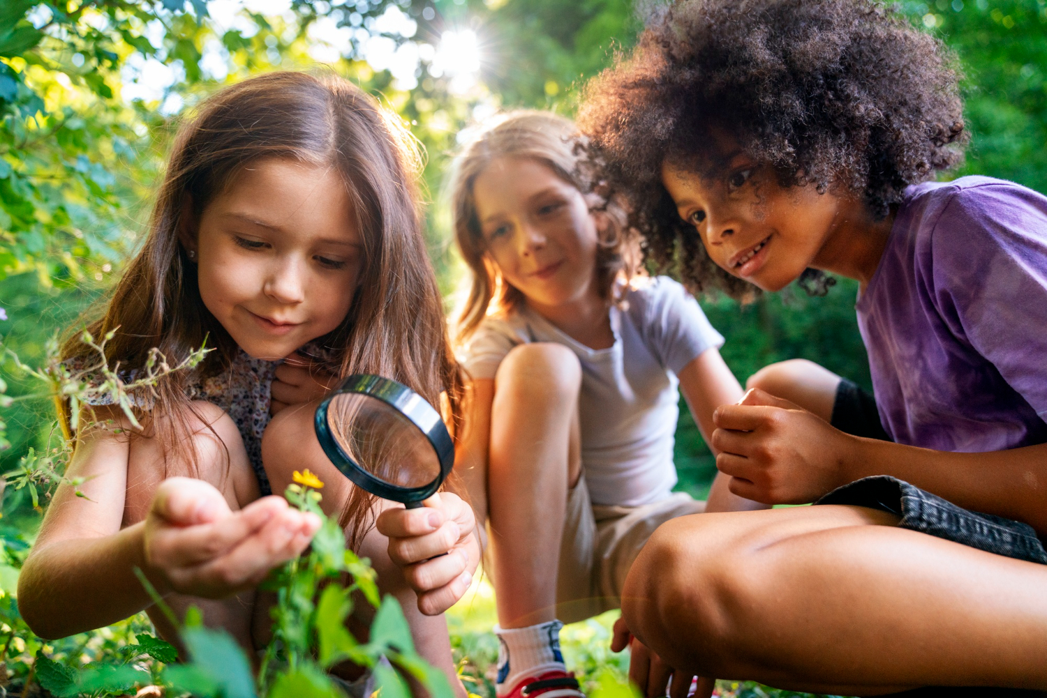 Apostila de Ciências – 7º Ano do Ensino Fundamental – Habilidades: EF07CI07 e EF07CI08.